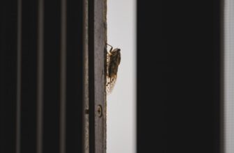 How To Add a Velcro Screen Door to Keep Bugs Out