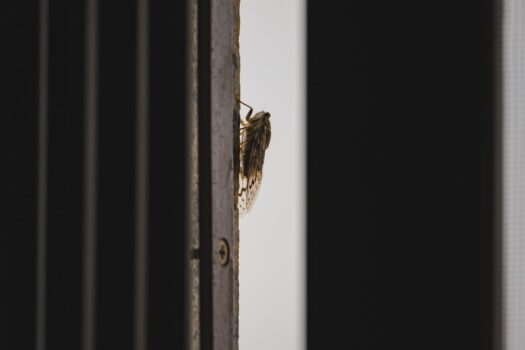 How To Add a Velcro Screen Door to Keep Bugs Out