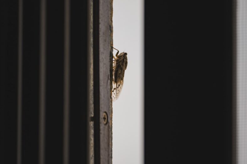 Velcro screen door install How To Add a Velcro Screen Door…