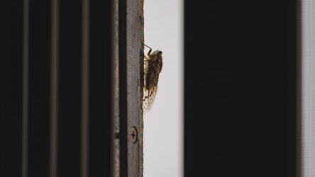 How To Add a Velcro Screen Door to Keep Bugs Out
